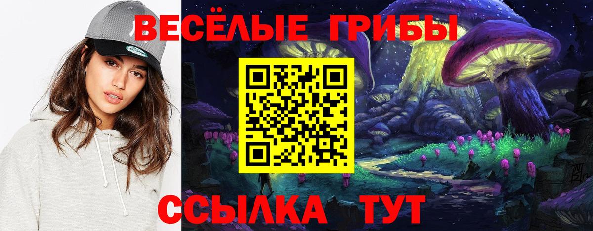 Псилоцибиновые грибы мухоморы  Вход с VPN  Новотроицк  Псилоцибиновые грибы MAGIC MUSHROOMS 